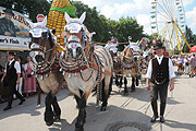 immer dabei: Prachtgespane der Brauerei (Foto: Ingrid Grossmann)